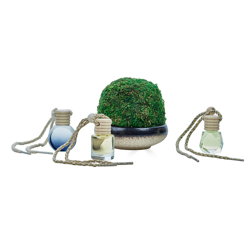 Moss Ball Diffuser