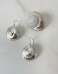 Small Moon Snail Dangles, Silver