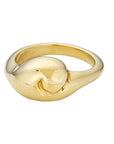 Spiral Jetty Ring