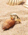 Sea Snail Ring
