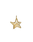 Sea Star Charm