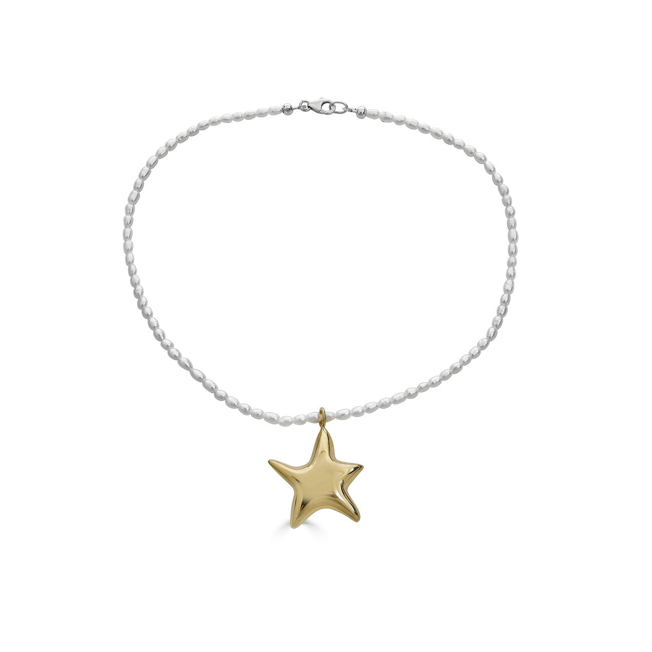Sea Star Charm
