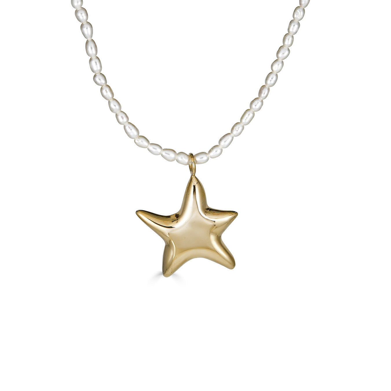 Sea Star Charm