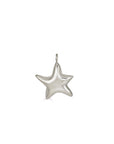 Sea Star Charm