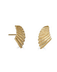 Tiny Scallop Shard Studs, 14k