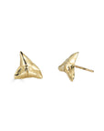 shark tooth earrings