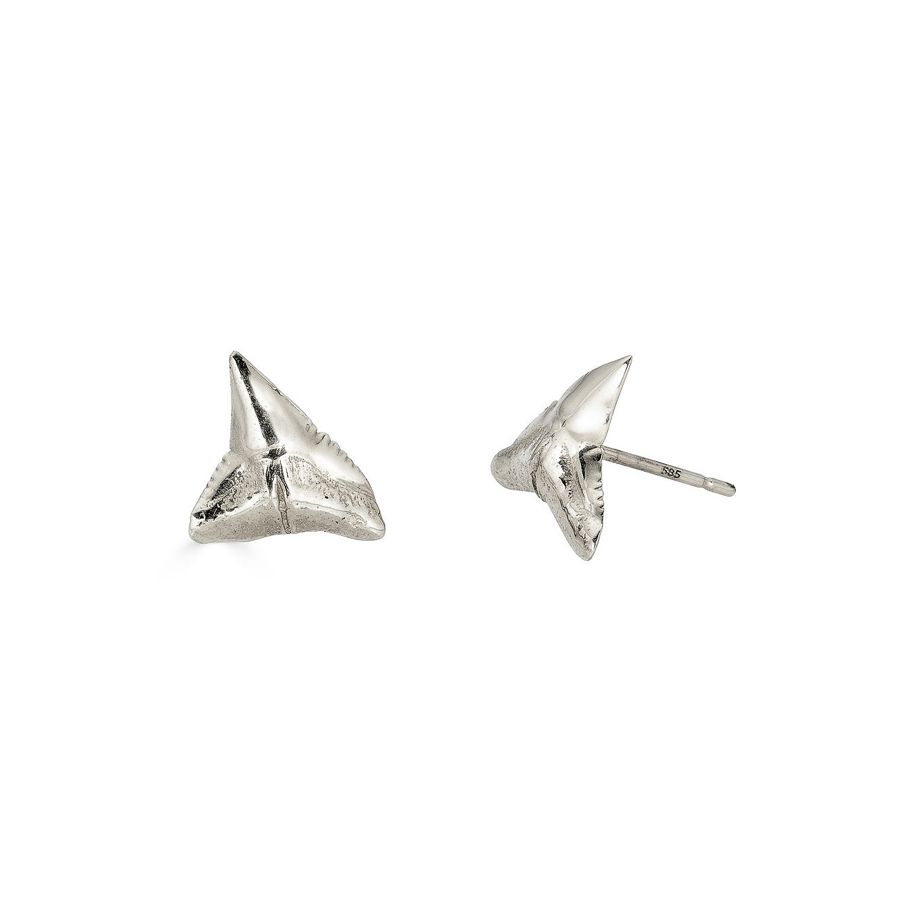 shark tooth earrings