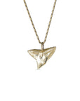 gold shark tooth necklace