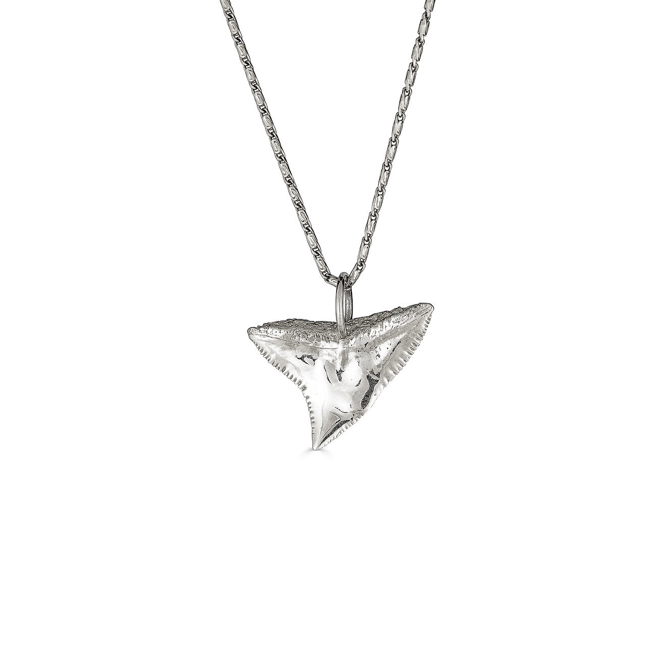 shark tooth necklace