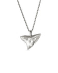 shark tooth necklace