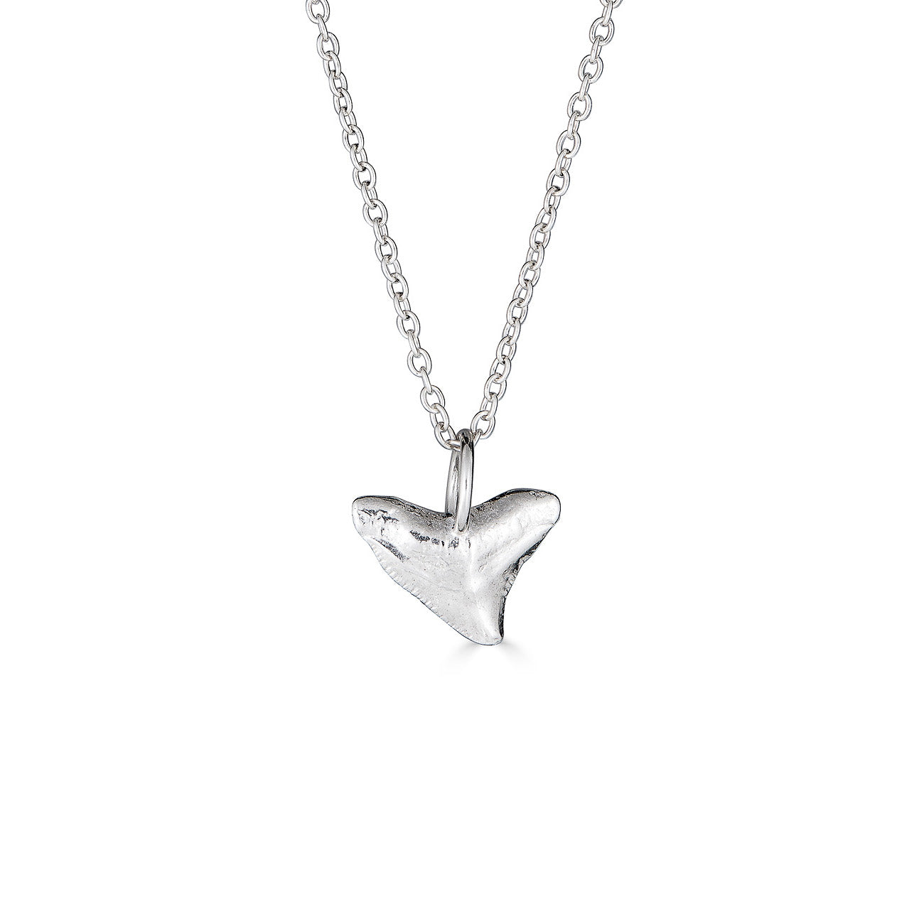 bull shark necklace