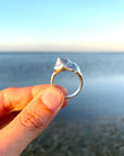Sea Snail Ring