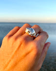 Sea Snail Ring