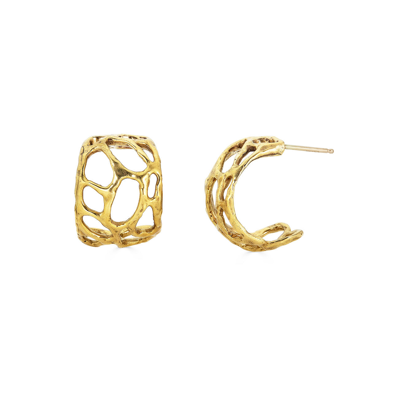 gold morel hoops