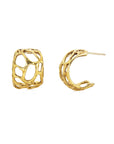 gold morel hoops
