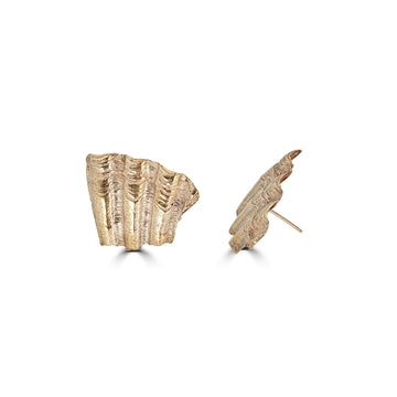 sea shard earrings
