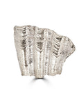 sea shell earrins