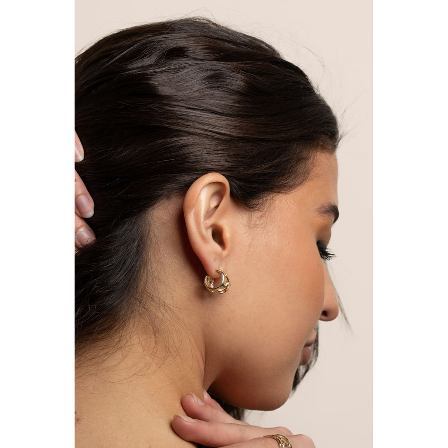 Morel Mini Hoops, 14k