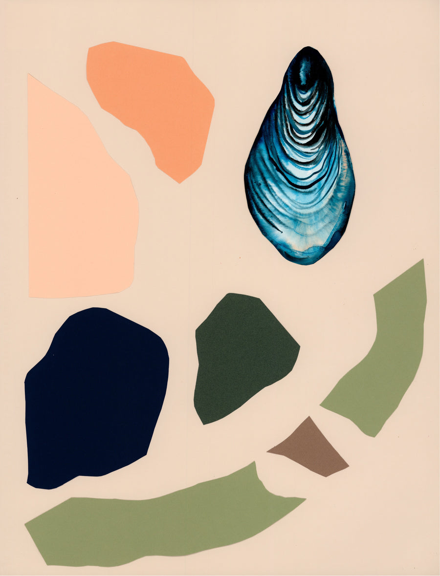 mussel art