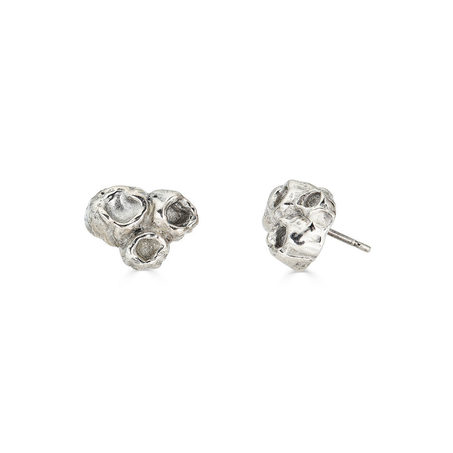 barnacle earrings