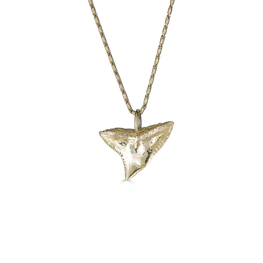 gold shark tooth necklace
