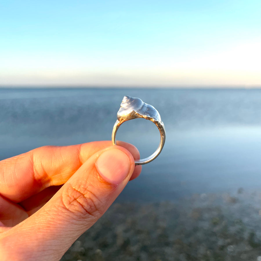 Sea Snail Ring