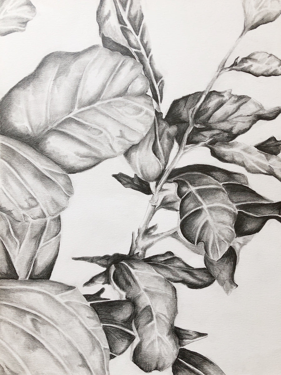 botany painting