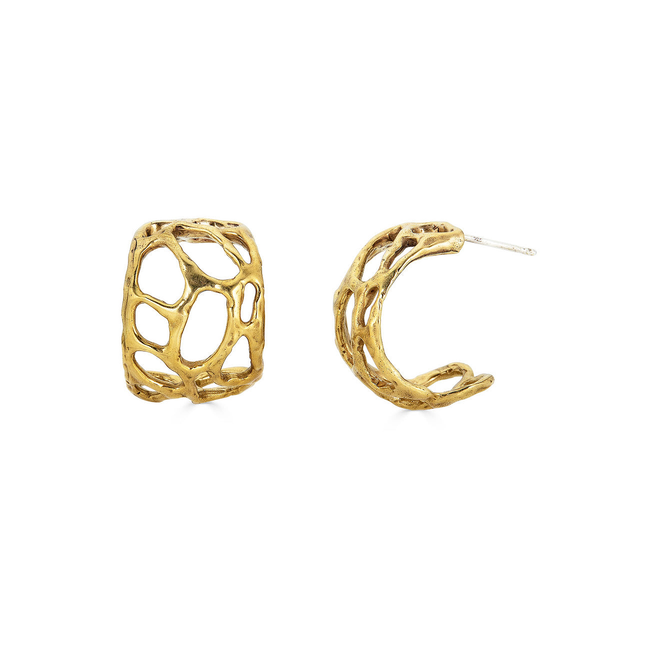 morel hoops