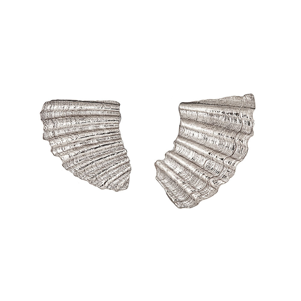 Sea Shard Large Earrings, Silver