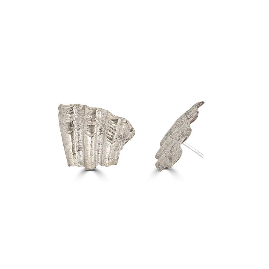 sea shard earrings